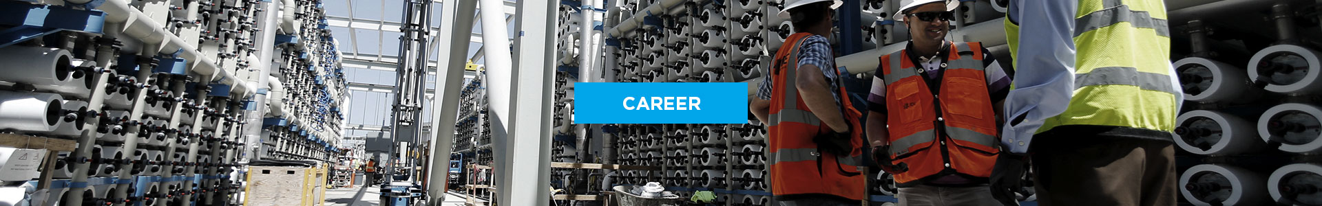 Career