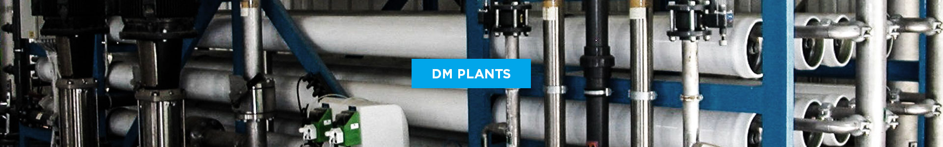 DM Plants